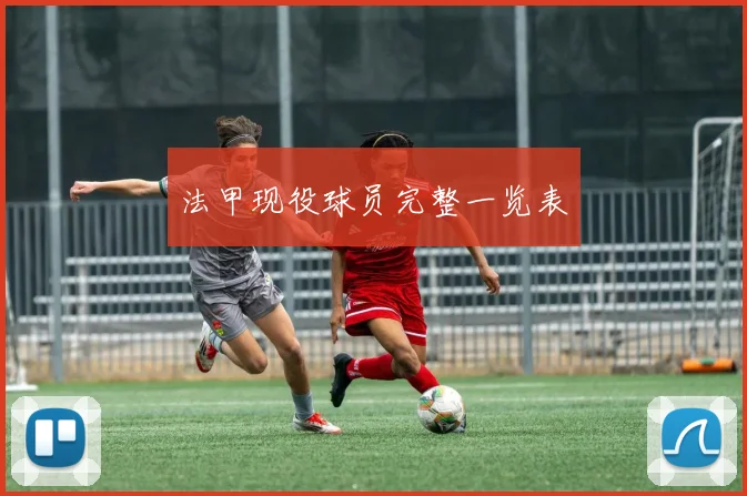 法甲现役球员完整一览表