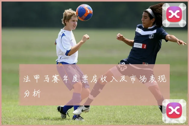 法甲马赛年度票房收入及市场表现分析
