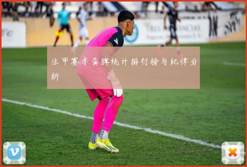 法甲赛季黄牌统计排行榜与纪律分析