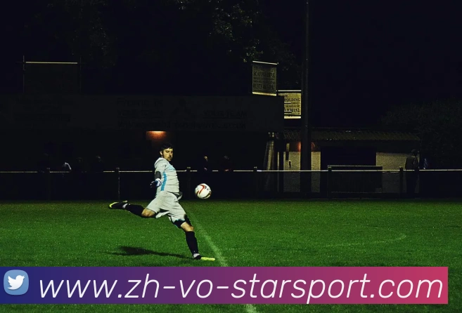 星空体育平台生态图